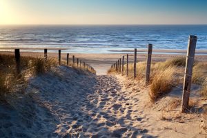 Relax. We’ve got this.